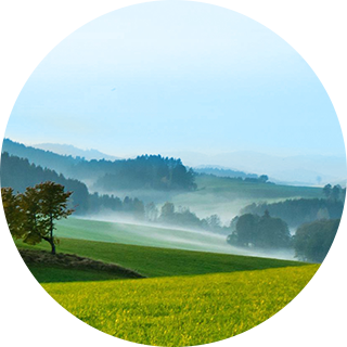 ��8-long8(����)Ψһ�ٷ���վ