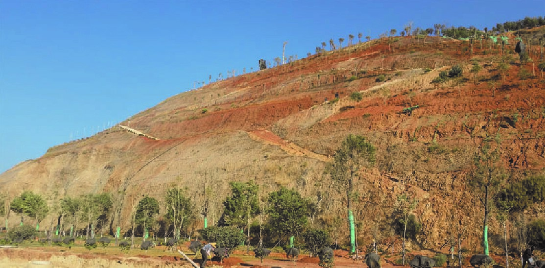 ͼ2��������﹫԰�����޸�ǰ