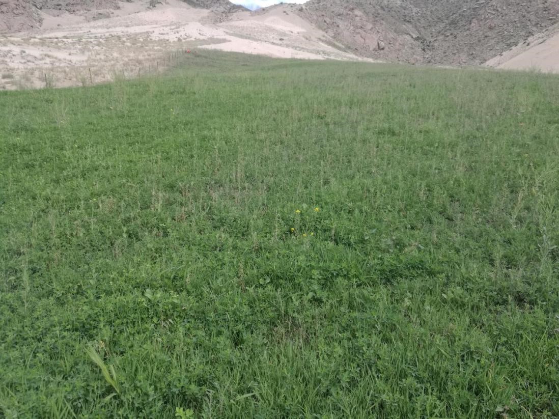 �ֳ�ͼ3����Ŀ�粥���º�80��