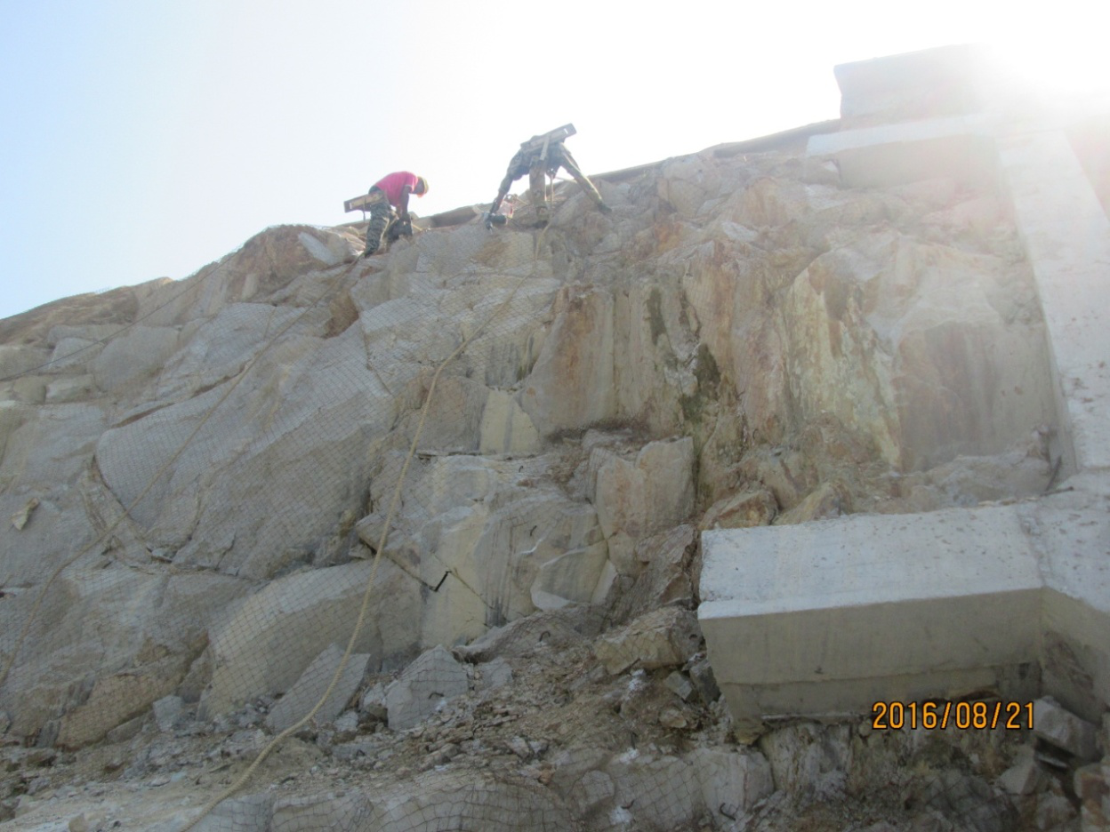 ��8-long8(����)Ψһ�ٷ���վ