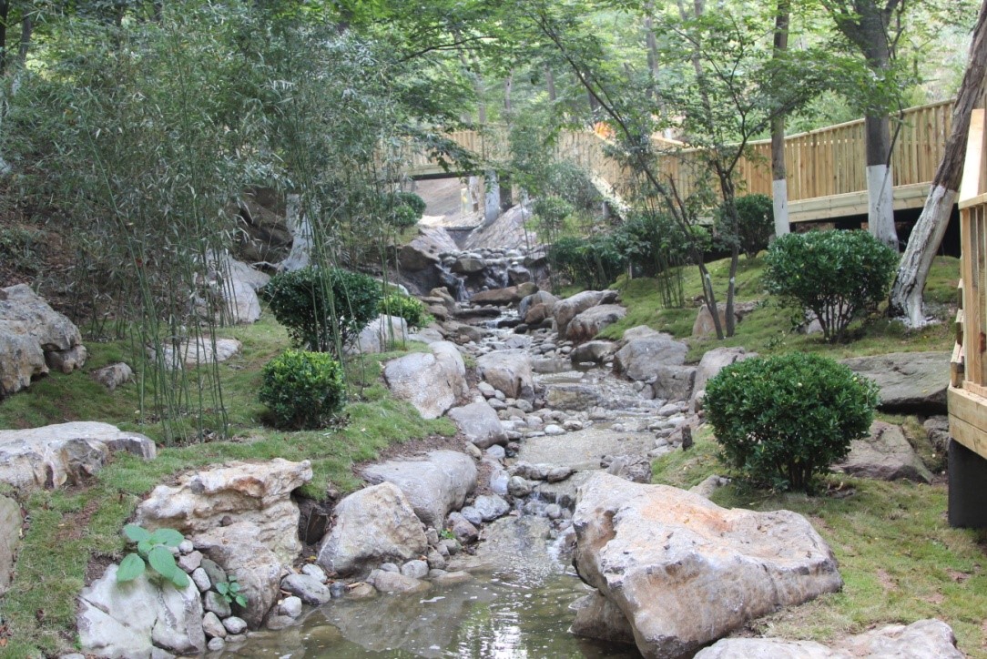 ���ɽ��԰�̻�ˢ�º��ֳ�һ��