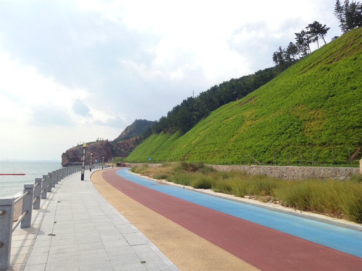 ��8-long8(����)Ψһ�ٷ���վ