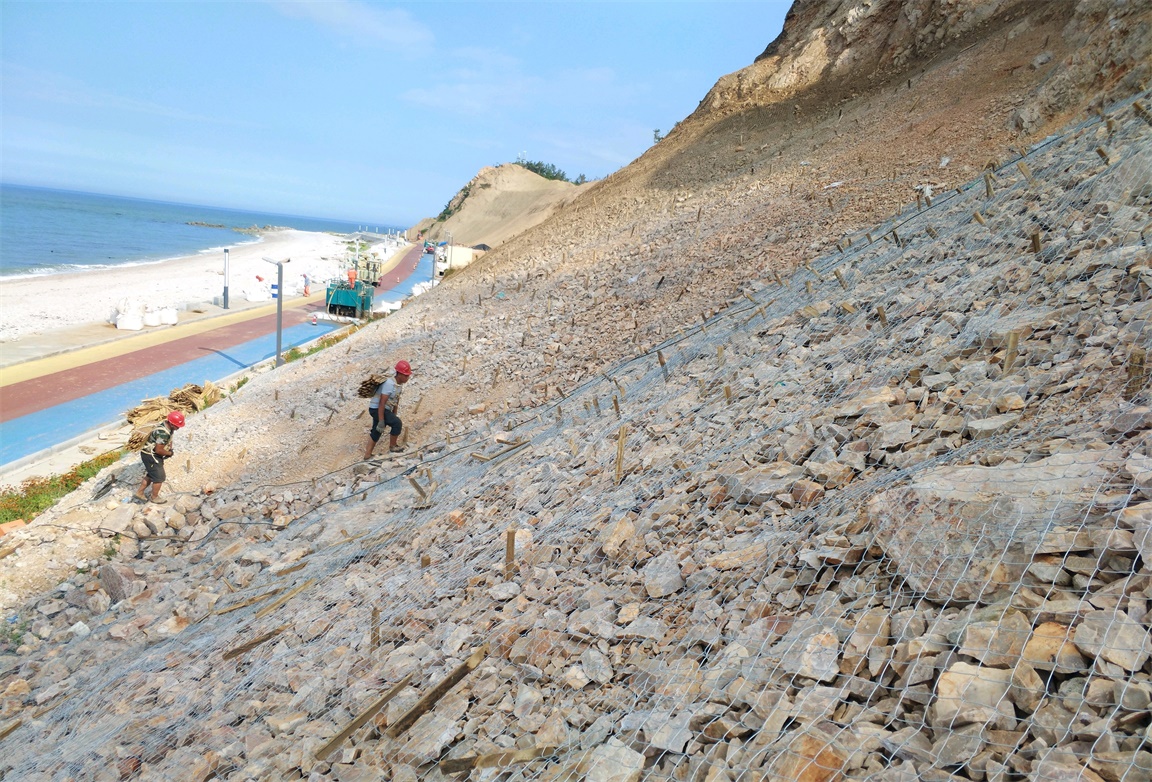 Áú8-long8(¹ú¼Ê)Ψһ¹Ù·½ÍøÕ¾