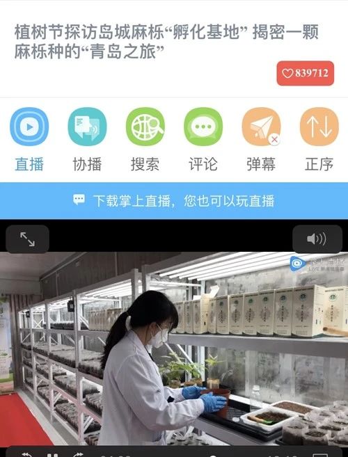 ��8-long8(����)Ψһ�ٷ���վ