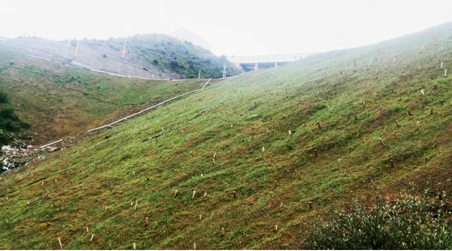 ī�񹤿���ɽ2