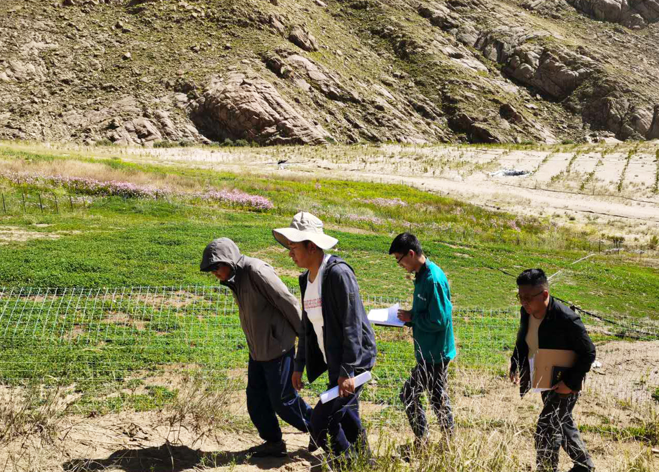 �ֳ�����