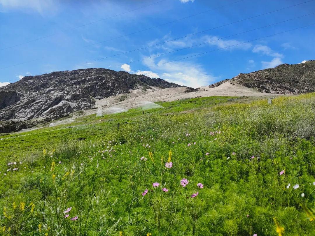 �޸������