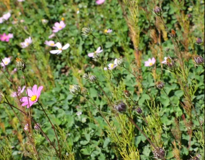 ��8-long8(����)Ψһ�ٷ���վ