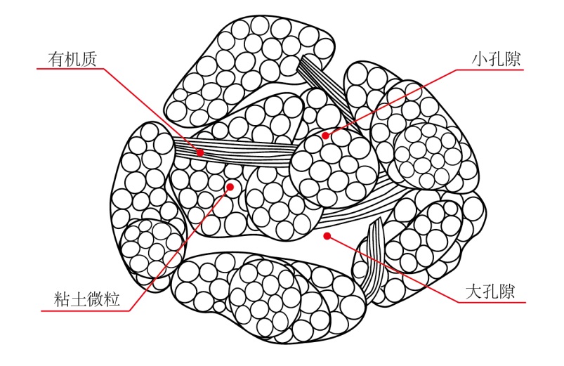 ���������Ľṹ