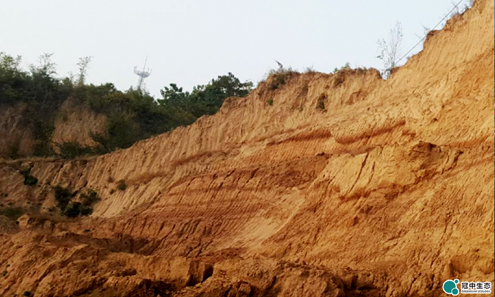 �����޸�ǰ