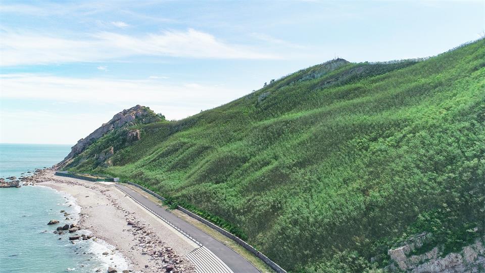 �����޸���