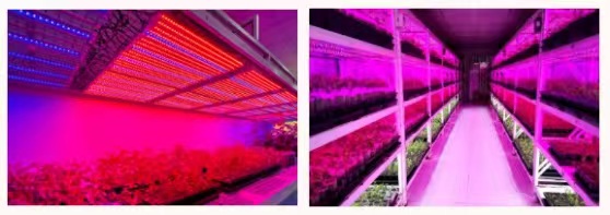 ��8-long8(����)Ψһ�ٷ���վ