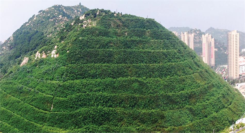 ���ݻָ���