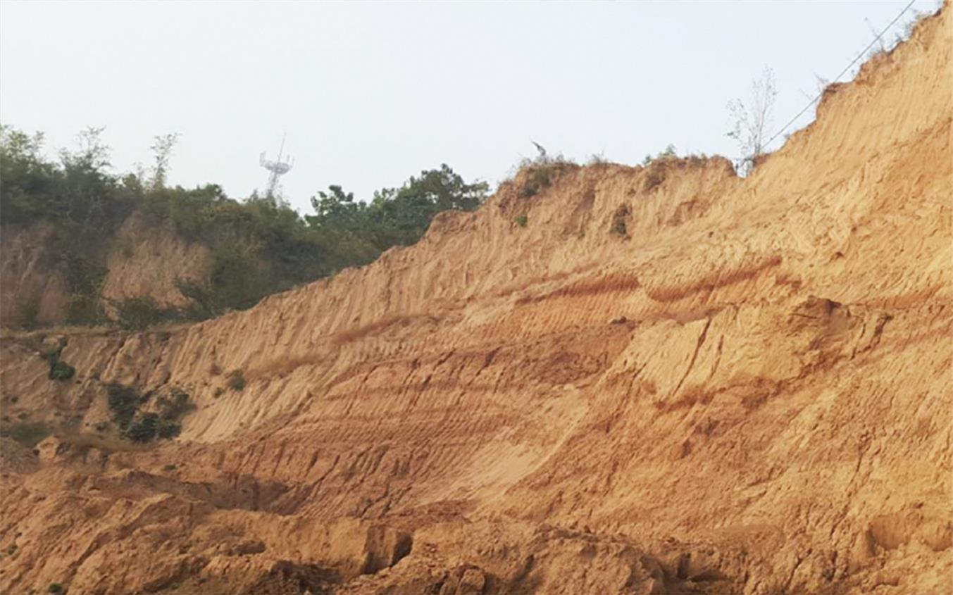 ��8-long8(����)Ψһ�ٷ���վ