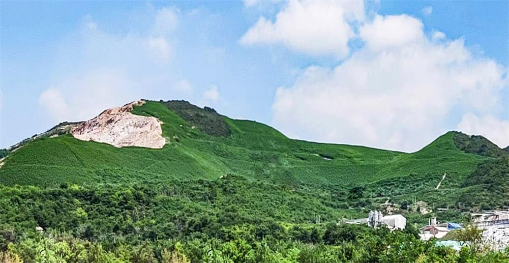 ��8-long8(����)Ψһ�ٷ���վ