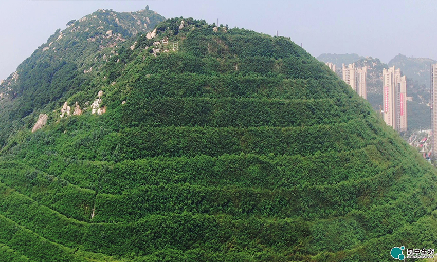 ��8-long8(����)Ψһ�ٷ���վ