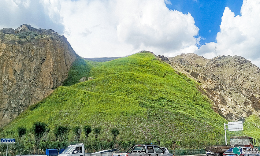 ��8-long8(����)Ψһ�ٷ���վ