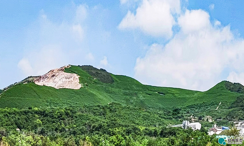 ��8-long8(����)Ψһ�ٷ���վ