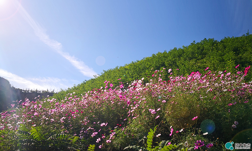 ��8-long8(����)Ψһ�ٷ���վ