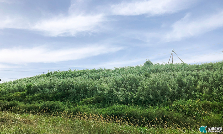 ��8-long8(����)Ψһ�ٷ���վ