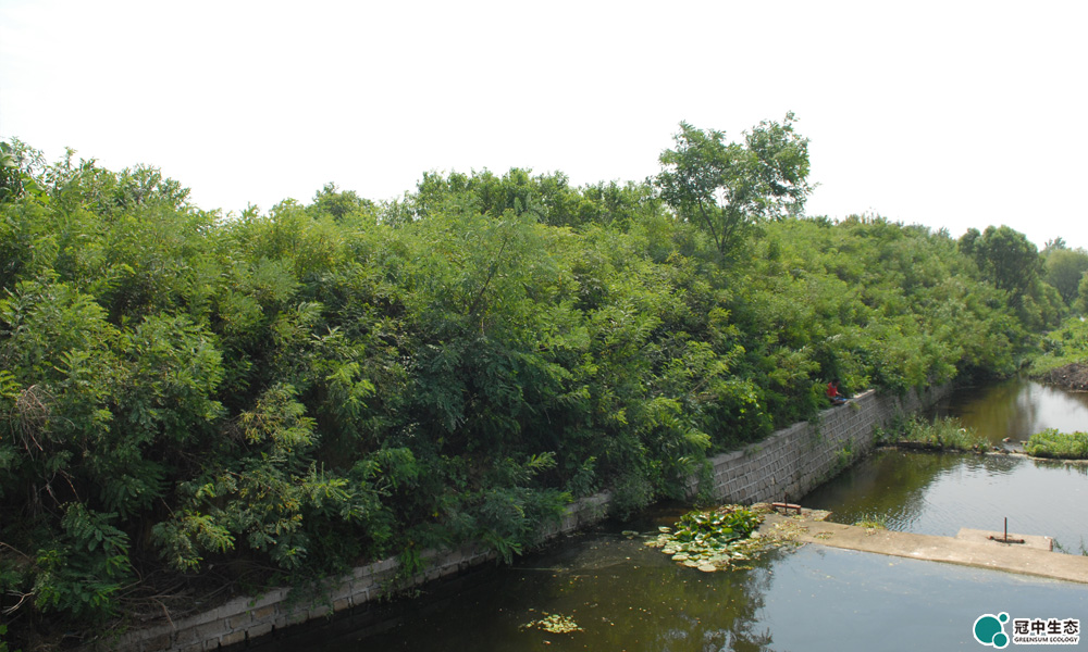 ��8-long8(����)Ψһ�ٷ���վ