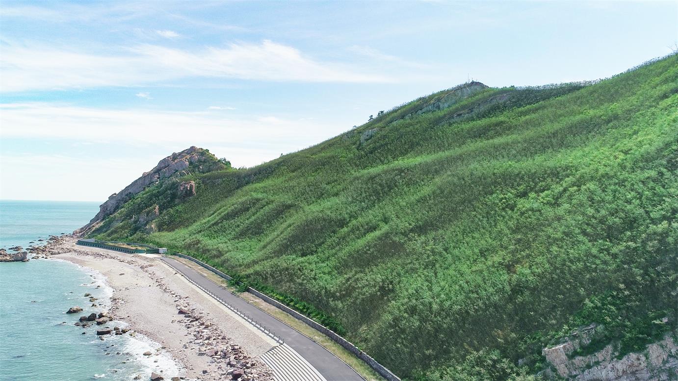 �޸���1��