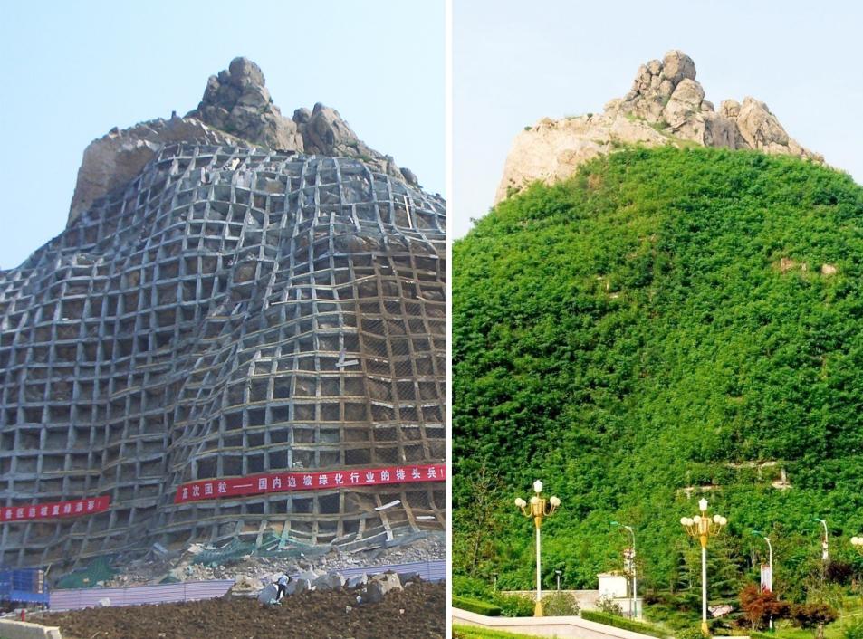 �����˹��ۼ�����̬�޸�����