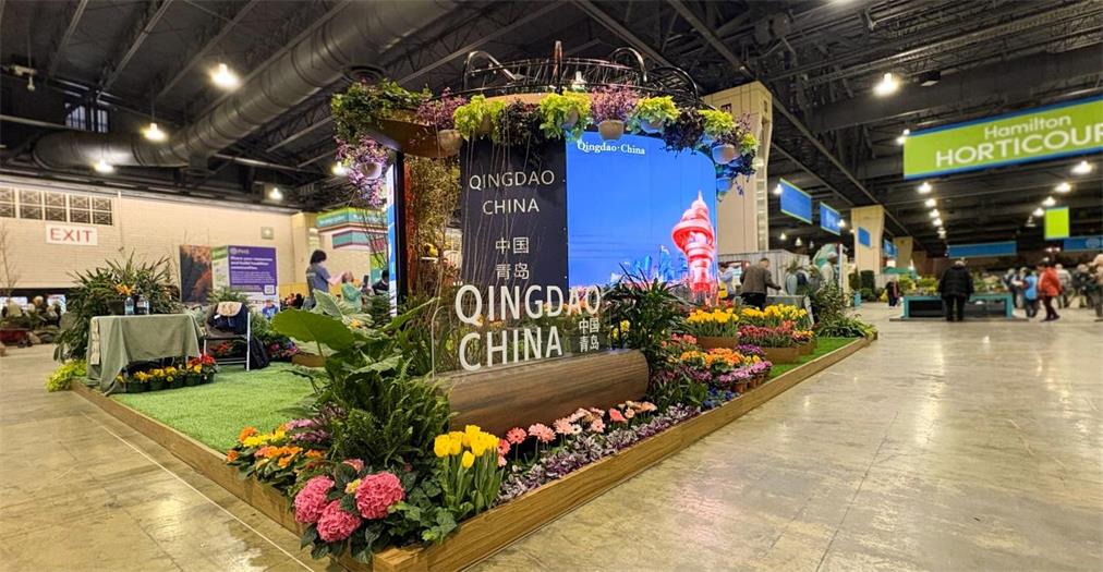 ��8-long8(����)Ψһ�ٷ���վ