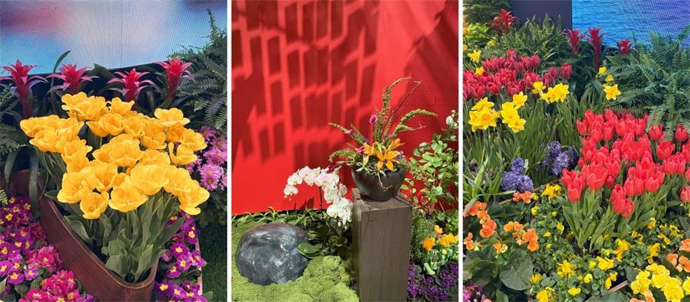 ��8-long8(����)Ψһ�ٷ���վ